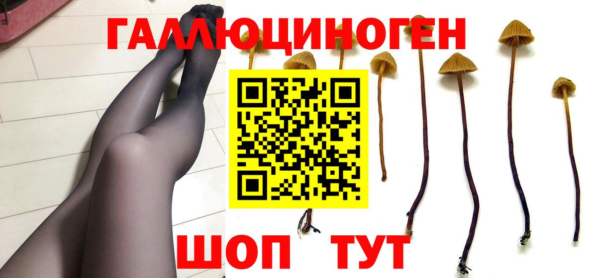 Псилоцибиновые грибы GOLDEN TEACHER  Вход с VPN  Карабулак 